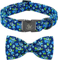 Elegant little tail Dog Collar- Cute Blueberry Dog Collar with Bow for Medium Dogs, Male Adjustable Cotton Summer Pet Bow Holiday Puppy Collar for Small Medium Large Dogs