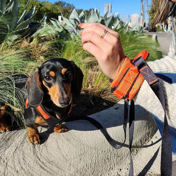 Gooby Easy Fit Wrist Band Surfer Leash - Blue, 6 FT - Comfortable Hands Free Leash with Elastic Band for Small, Medium and Large Dogs