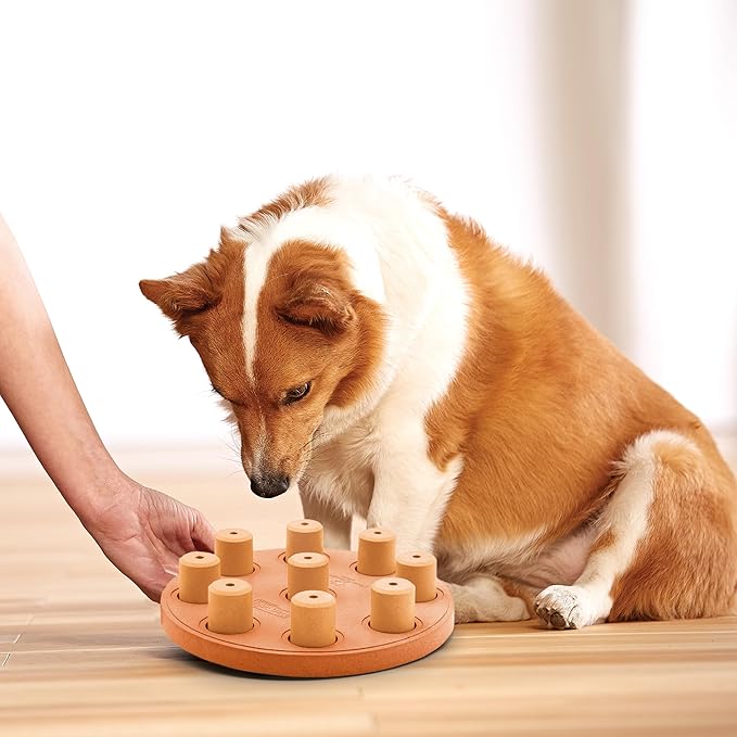 Outward Hound by Nina Ottosson Dog Smart Treat Puzzle Enrichment Toy, Level 1 Beginner, Orange, Composite