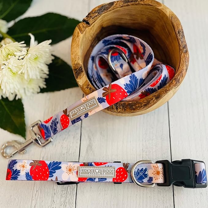 Lucky Love Dog Leash – Soft, Durable, and Comfortable Leash with Vibrant Patterns – Stylish and Long Lasting for Small Male and Female Dogs – Sweet Berry, Small