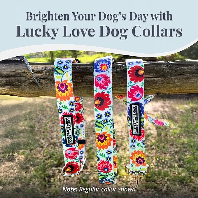 Lucky Love Dog Martingale Dog Collar - Adjustable, No-Slip, Durable, & Soft Webbing Collar for Male and Female Dogs Ideal for Training & Walking - Ladybird, Medium