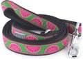 THE WORTHY DOG Watermelon Patterned Nylon Leash for Dogs, Stylish, Durable, Woven Ribbon - Dark Green, Large