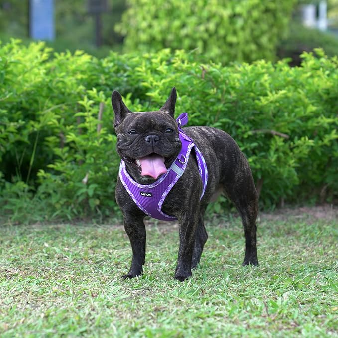 AMTOR Small Dog Harness with Leash Set, No Escape Easy Walk Puppy Harnesses for Training Walking, Step-in Reflective Soft Dogs Vest for XS S Medium Extra-Small Large Sized Dog(Purple,XXS)