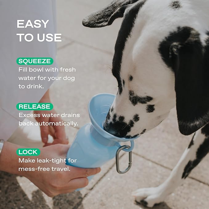 Springer Dog Water Bottle | Portable Travel Water Bottle Dispenser for Dogs - As Seen on Shark Tank | Patented, Leak-Proof Bottles Fill Bowl with Water - Ideal for Walking | BPA-Free 22oz Gray