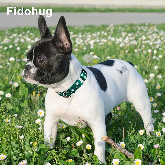St.Patrick's Day Martingale Collar for Dogs with Buckle Adjustable Shamrock Spring Holiday Dog Collar (Clover, Large)