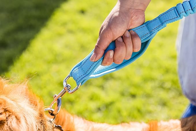 Shed Defender Shock Absorbing Bungee Leash - Three Padded Traffic Handles, Designed in The USA, Stretches 4-7ft, Elastic Dog Leash, Reflective Stitching, Large Dog & Small Breed, Heavy Duty, Black