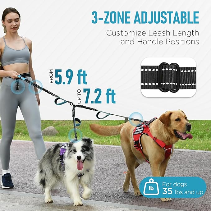 Hands Free Dog Leash, Waist Bungee Leash for 2 Large Dogs, 6-8ft No-Tangle Heavy Duty Leashs(50-120 lbs)