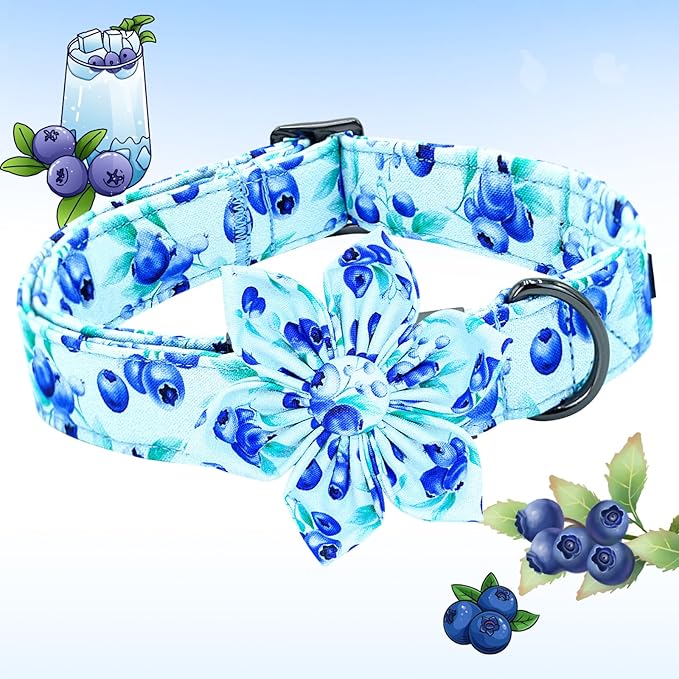 Lionheart glory Dog Collar with Flower Blueberries Print Collars for Medium Dogs, Spring Summer Cute Duty Adjustable Dog Flowers Collar Puppy Collars Bows Pet Gift