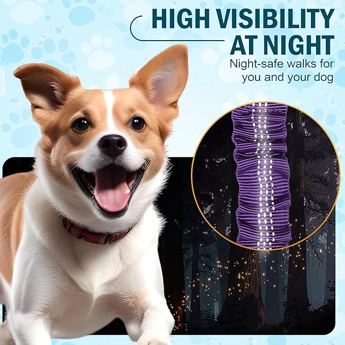 Hands Free Dog Leash for 2 Dogs – Waist Leash for Dog Walking with Dual Bungee, Reflective No Pull Design, Adjustable Belt & Pouch for Running, Hiking, Jogging