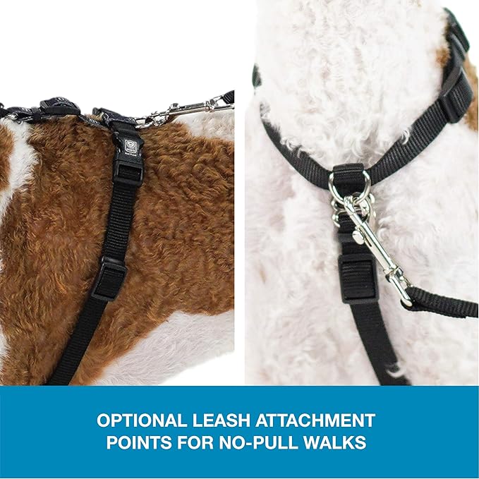 Blue-9 Pet Products No-Pull Balance Harness and Loose Leash Walking Set Dogs, Made in The USA, Black, Large