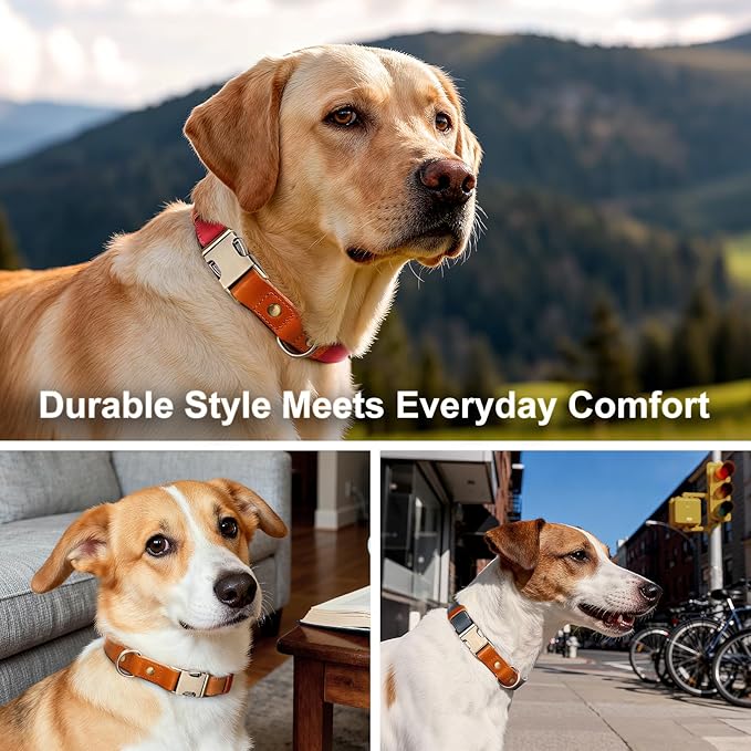 Plutus Pet Genuine Leather & Hemp Dog Collar – Adjustable Heavy Duty Pet Collar with Quick Release Metal Buckle, Soft & Stylish for Puppy and Small, Medium, Large Dogs (Red, XS)