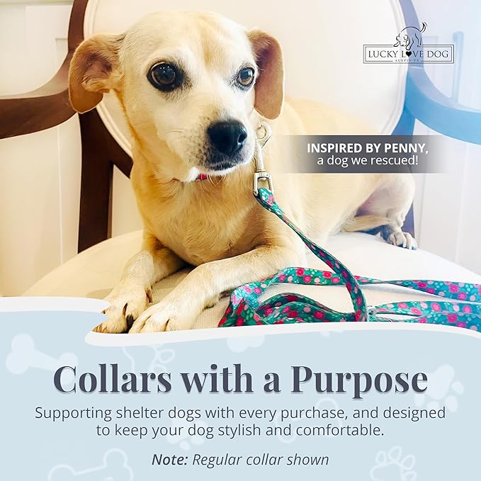 Lucky Love Dog Martingale Dog Collar - Adjustable, No-Slip, Durable, & Soft Webbing Collar for Male and Female Dogs Ideal for Training & Walking - Penny, Large