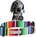 Lucky Love Dog Wide Dog Collar - Adjustable, Durable, Soft Webbing, & Comfortable 1.5 inch Wide Collar for Dogs Male and Female with Strong Buckle - Nacho, X-Large