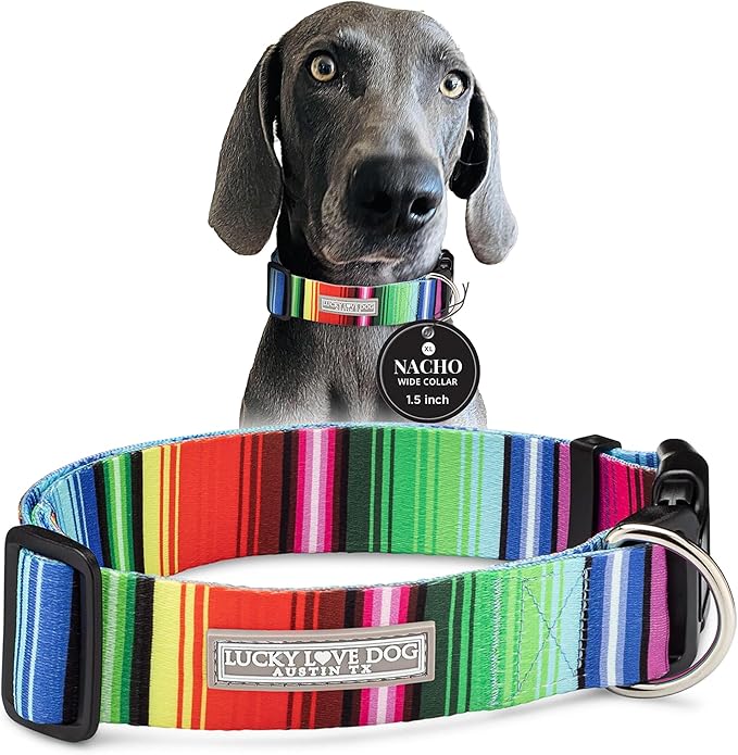 Lucky Love Dog Wide Dog Collar - Adjustable, Durable, Soft Webbing, & Comfortable 1.5 inch Wide Collar for Dogs Male and Female with Strong Buckle - Nacho, X-Large