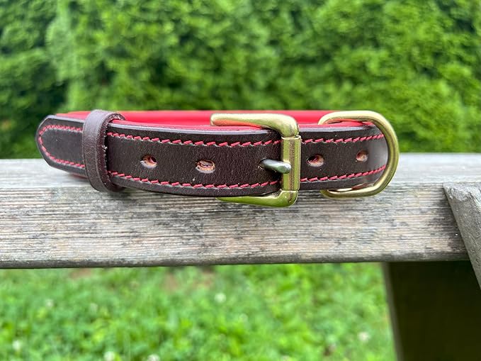 Leaders Leather Dog Collar with Customized Name Plate (Red/Brown Medium/Large (15"-19"))