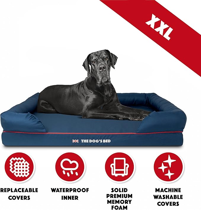 The Dog’s Bed Orthopedic Memory Foam Dog Bed with Bolsters, Oxford Fabric, Blue with Dark Red Trim, XXL