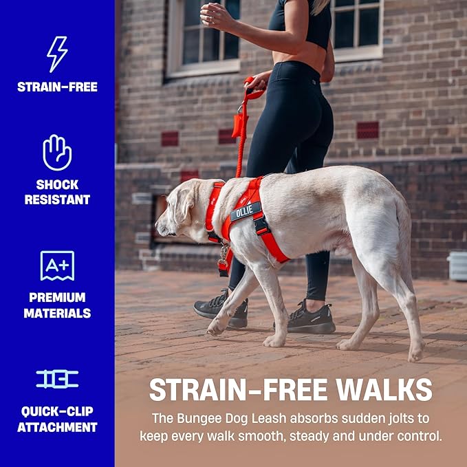 DF Co. Bungee Dog Leash | Strain Free & Shock Resistant for Control | Neoprene Padded Handle, Heavy-Duty Carabiner Clip, and D-Ring | Classic Blue, Size Small