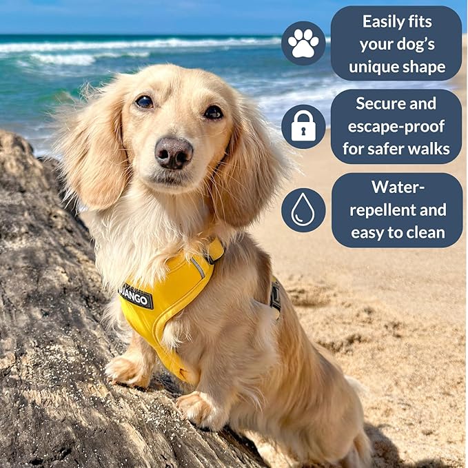 DJANGO Adventure Dog Harness - Stylish Large Dog Harness for Outdoor Adventures and Everyday Wear - Dandelion Yellow Neoprene Adjustable Harness for Dogs with Reflective Piping and Solid Brass D-Ring