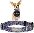 Lucky Love Dog, Comfortable, Soft, Cute Female Dog Collar for Tiny Dogs, Black & Purple Floral Print, Adjustable Nylon Collar, Primrose, X-Small