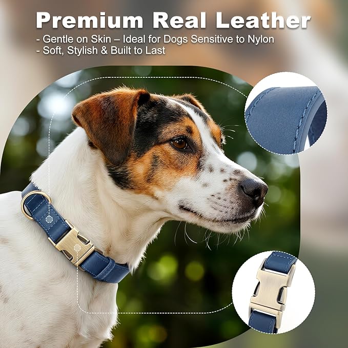 Plutus Pet Genuine Leather Dog Collar – Adjustable Pet Collar with Quick Release Metal Buckle, Soft Real Leather for Small Medium Large Dogs, Heavy Duty & Skin-Friendly (Royal Blue, L)