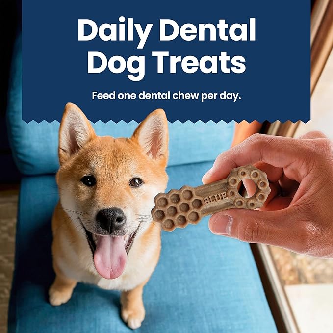 Blue Buffalo Small Dental Chews for Dogs, Daily Dental Care Dog Treats Made in The USA with Natural Ingredients, Chicken & Spearmint (84 Count)