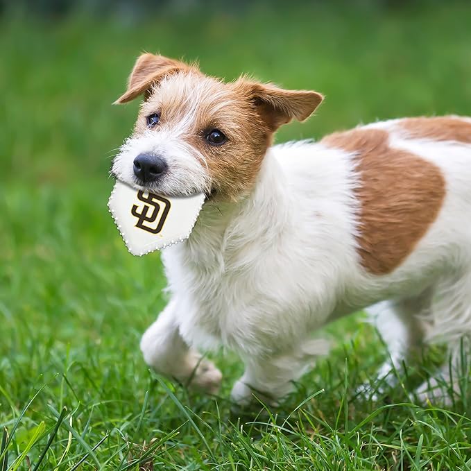 Pets First MLB SAN Diego Padres Hard-Nylon Baseball Home Plate Dog Chew Toy, Interactive and Fun Dog CHEW Toy, Bacon Flavored, Strong Durable Chew Toy for Pets