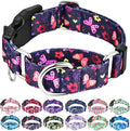 Martingale Collar with Buckle Purple Nylon Adjustable Cute Girl Female Dog Collars (Butterfly Floral, Small)