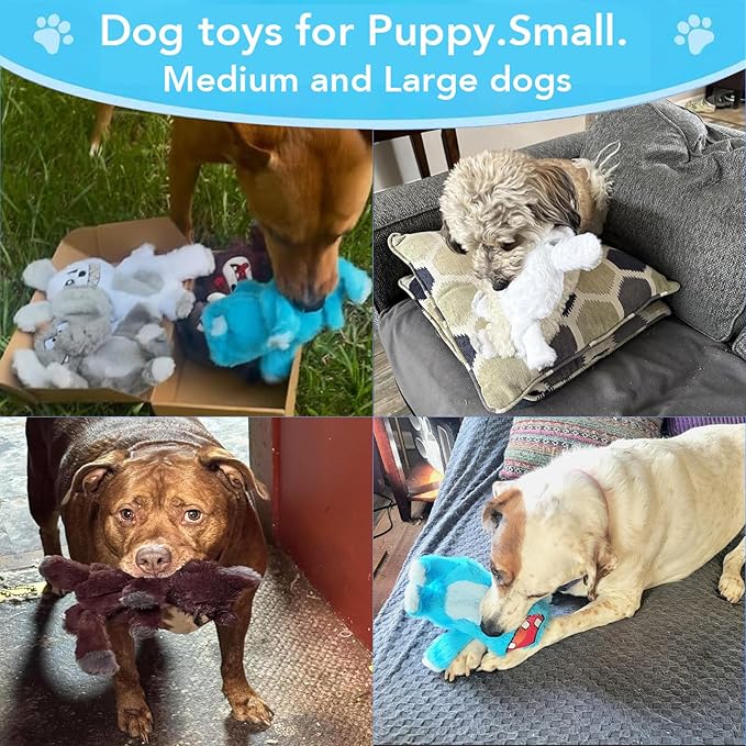 Bzonsmart 5 Pack Squeaky Dog Toys.Tough Plush Chew Toys for Dogs.Interactive Dog Toys to Keep Small Medium Large Breed Dogs Busy .Durable Anti-Boredom Dog Toy for Teething & Playtime.