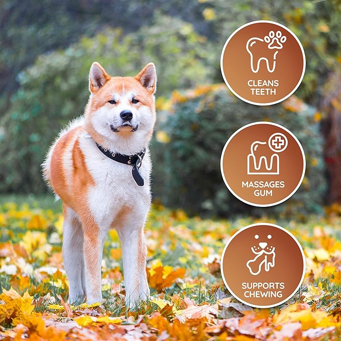 Wildfang® Leather Dog Toy, Medium– Soft Dog Toy & Dog Chew Toy for Gentle Chewer, Puppies & Senior Dogs with Sensitive Teeth – Non-Toxic, Stuffless Leather Bone, 5 mm for Dog Over 22-33 lbs, Pack of 3