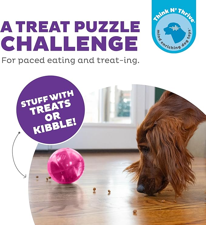 Outward Hound Orbee-Tuff Mazee Interactive Dog Puzzle Toy, Treat Dispensing Slow Feeder Ball, Pink, 4.7-Inch