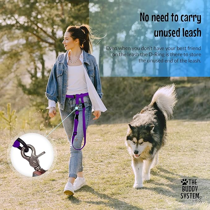 The Buddy System Hands Free Dog Leash, Adjustable Leash for Running, Jogging, Training and Service Dogs, Great for Small, Medium and Large Dogs, Made in USA (Purple, X-Large Belt (33"- 60" Waist))