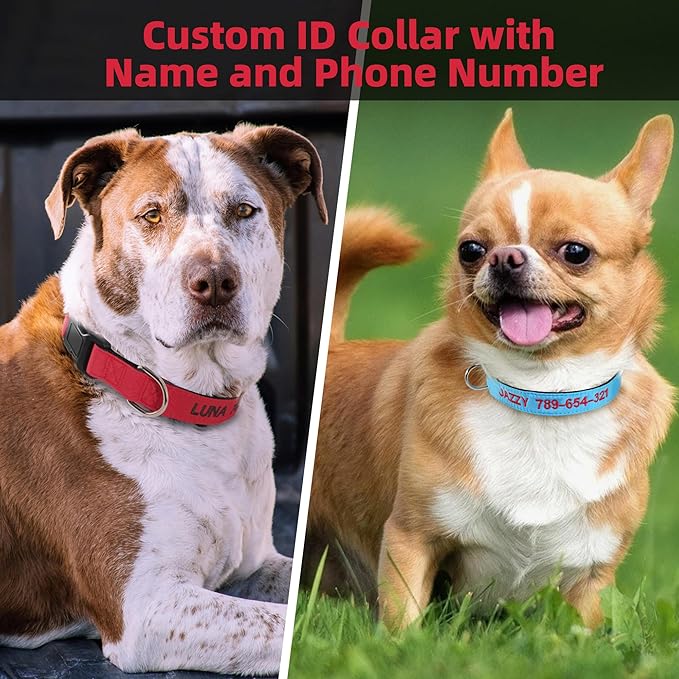 Personalized Dog Collar,Custom Pet ID Collar Embroidered with Name and Phone Number for X-Small Small Medium Large Boy Girl Dogs(Solid)