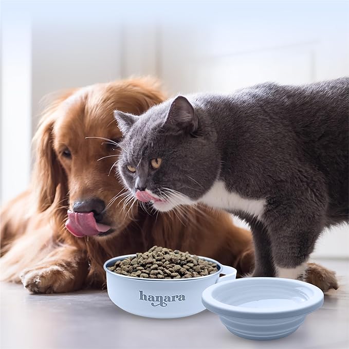 HANARA 2-in-1 Insulated Dog Bowl with Collapsible Lid & Handle – Stainless Steel, Non-Slip Rubber Base – Portable Pet Water & Food Bowl for Dogs & Cats – 30 OZ + 20 OZ – Indoor & Outdoor (Blue)