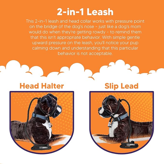 The Sidekick® – Heather's Heroes