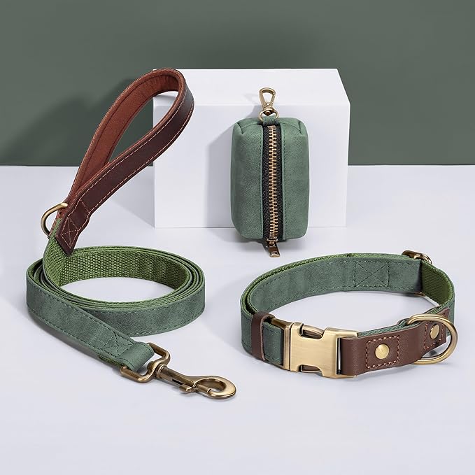 Didog PU Leather Dog Leash for Small Dogs 4.5ft, Soft Padded Handle Dog Leashes for Medium Size, Walking and Training Leashes Faux Leather for Large Pet,Green