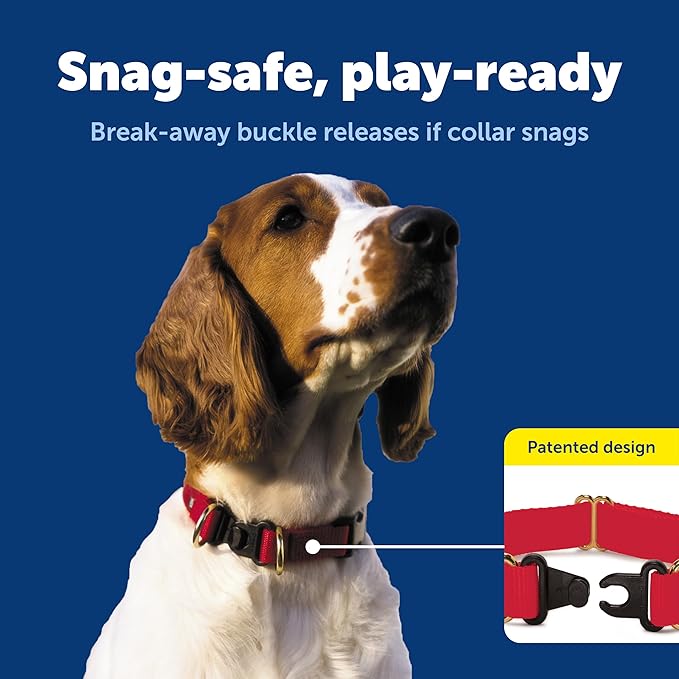 PetSafe KeepSafe Collar for Dogs - Protects Against Collar Accidents - Long Lasting - Durable - Adjustable - Breakaway - Outdoor-Safe - Medium - 1 in. Wide - Black