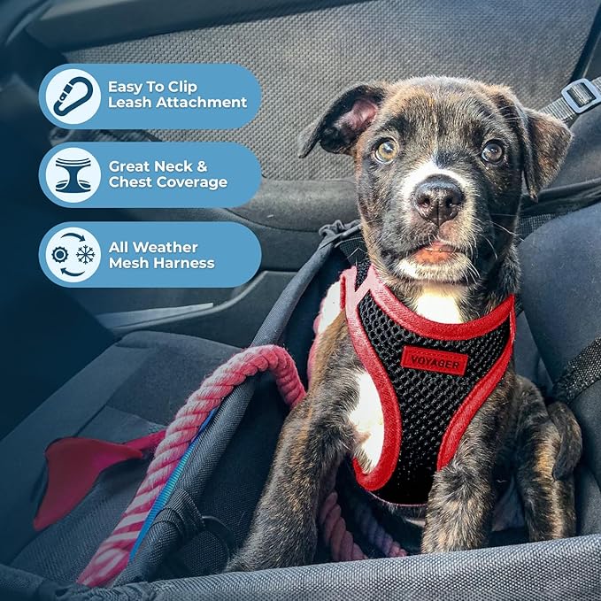 Best Pet Supplies - All Weather Mesh/Plush, Reflective, No Pull Harness for Small, Medium Dogs, Cats - Secure with Hook & Loop Fastener, Buckle, Double D-Rings - Black/Red Trim, M