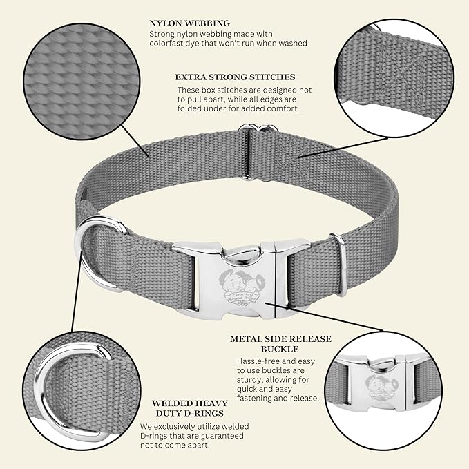 Country Brook Petz - Premium Nylon Dog Collar with Metal Buckle for Small Medium Large Breeds - 10+ Cool Colors (Extra Large, 1 Inch, Silver)