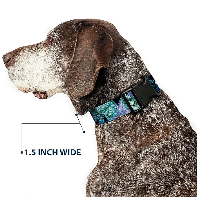 Dog Collar Plastic Clip Classic Batman Issue 1 Robin Batman Cover Pose Yellow Red 15 to 26 Inches 1.0 Inch Wide