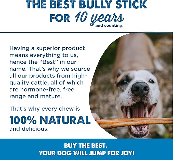 Best Bully Sticks 6 Inch Jumbo Bully Sticks - 25 Count (Pack of 1) - Natural Grass-Fed Beef, Single Ingredient, Grain and Rawhide Free, Ideal for Large Canines