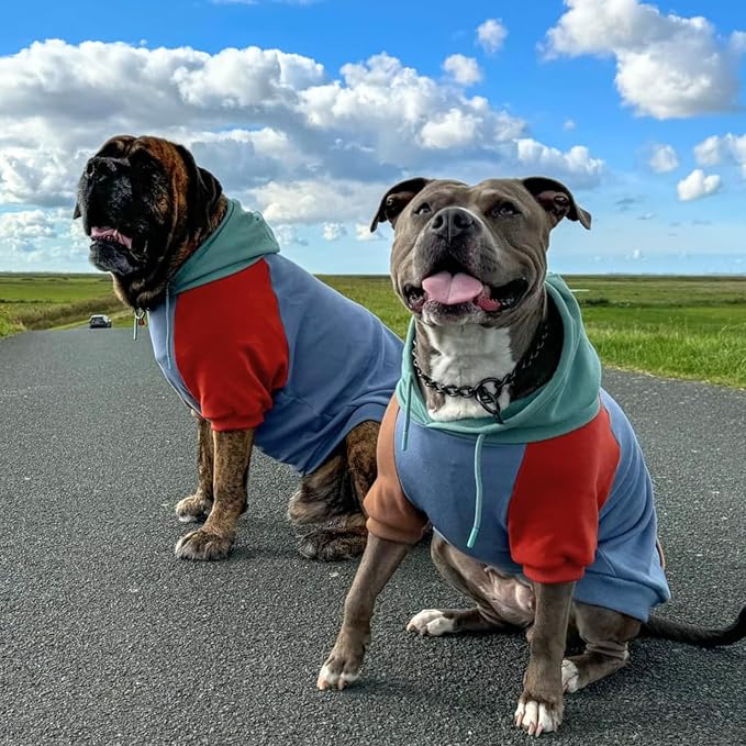 Spark Paws Dog Hoodie – Premium Dog Sweater for Small, Medium, and Large Dogs | Warm Outfits for French Bulldogs, Pitbull, Puppy, Winter Jacket Alternative - Alpine - L