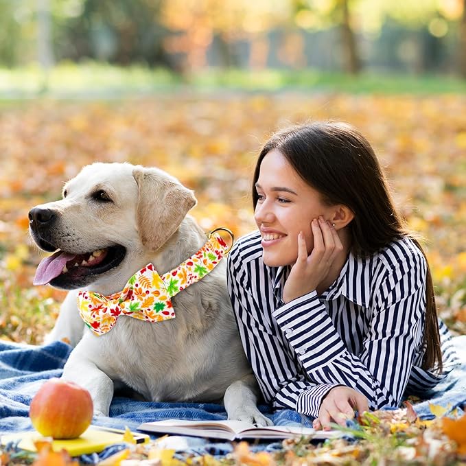 Tunkoo Fall Dog Collar with Cute Bow Tie - Durable Adjustable and Stylish Autumn Cotton Pet Collar, Available in Small Medium Large, L