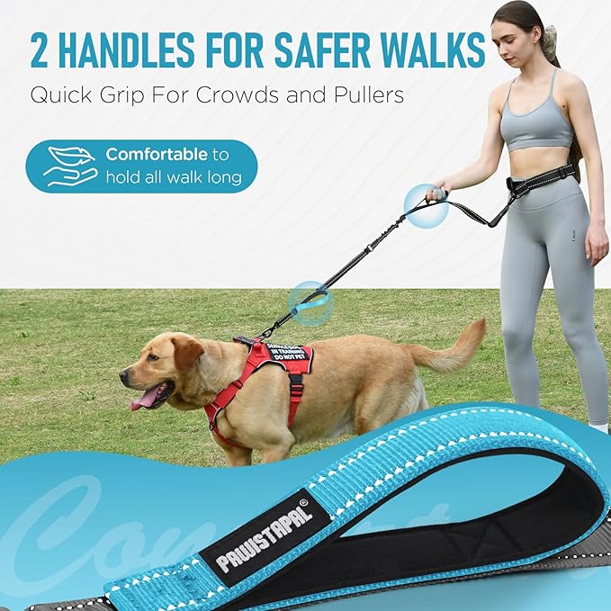 Hands Free Dog Leash, Waist Bungee Leash for Large Dogs, 6-8ft Adjustable Heavy Duty Leashs(50-120 lbs)