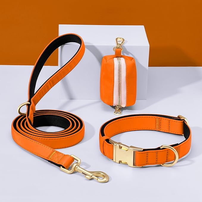 Didog Soft Padded Dog Collars for Small Dogs, Colorful and Durable Dog Collar with Quick Release Buckle, Light and Breathable for Daily Walking, Orange, S