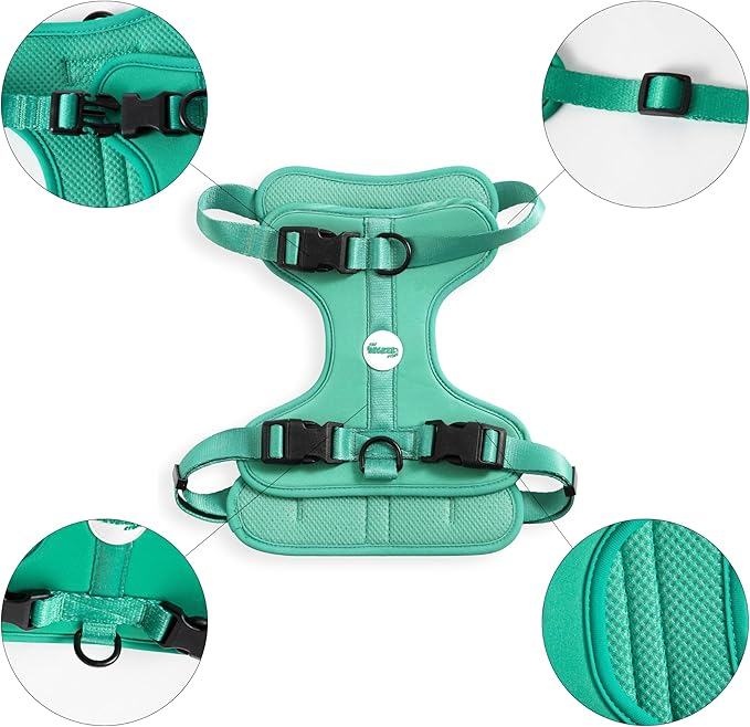 HNS1003K Arlo Large Adjustable Soft Padded No Pull Pet Harness with 3 Buckles and 3 Leash Clips, Julep