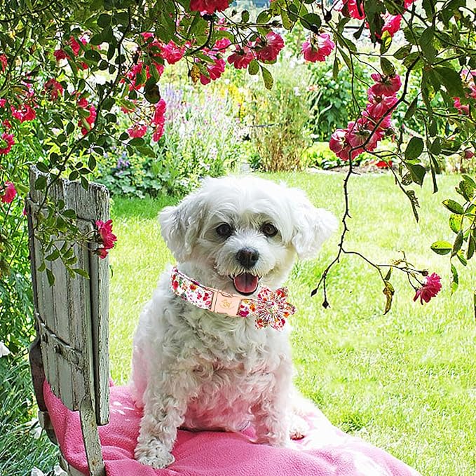 Elegant little tail Dog Collar with Flower, Pink Rose Print Pet Collar Flower Pet Collars Summer Cute Adjustable Dog Collars for Small Dogs