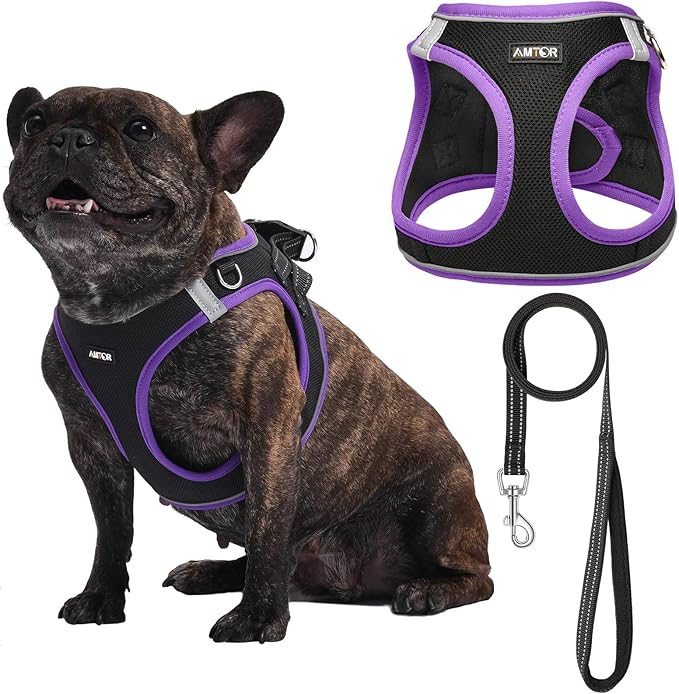AMTOR Small Dog Harness with Leash Set, No Escape Easy Walk Puppy Harnesses for Training Walking, Step-in Reflective Soft Dogs Vest for XS S Medium Extra-Small Large Sized Dog(M,Black/Purple)