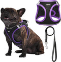 AMTOR Small Dog Harness with Leash Set, No Escape Easy Walk Puppy Harnesses for Training Walking, Step-in Reflective Soft Dogs Vest for XS S Medium Extra-Small Large Sized Dog(L,Black/Purple)