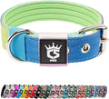 TSPRO Tactical Dog Collar 1.25 Inch Wide Thick Dog Collars with Heavy Duty Metal Buckle, Durable, Strong, Adjustable for Small Dogs (Rainbow S)
