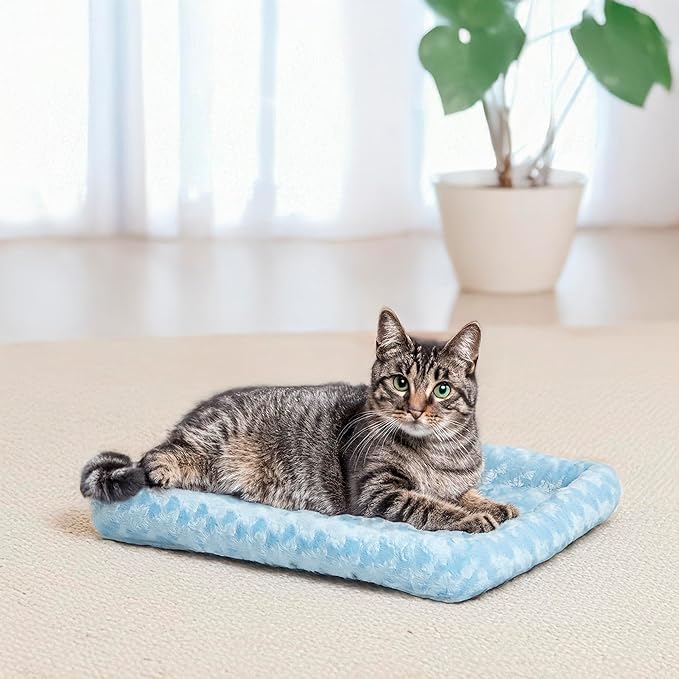 MidWest Homes for Pets QuietTime Fashion XXS Dog Bed – Blue Faux Fur Bolster, Ultra-Soft and Machine Washable, Fits 18-Inch Crates and Carriers, for Small Dogs and Cats